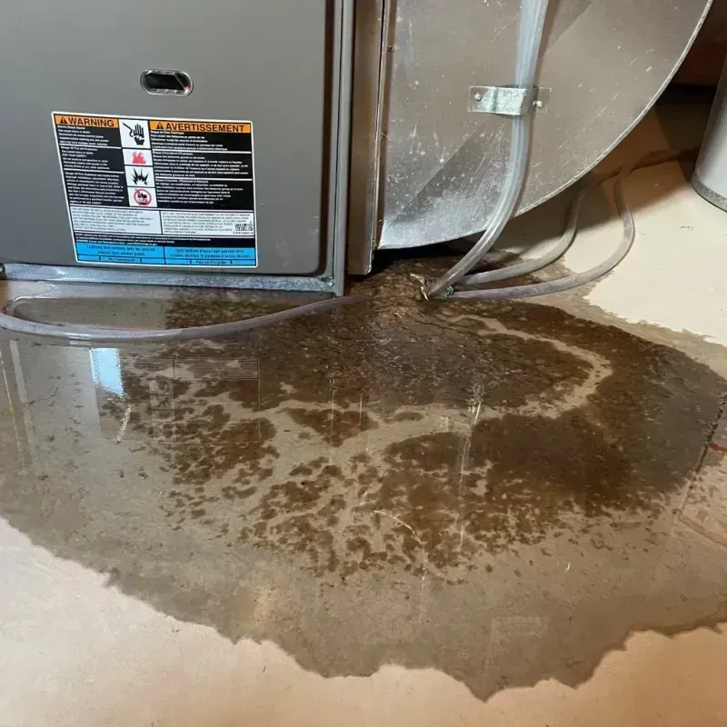 Appliance Leak Cleanup in Toledo, OH